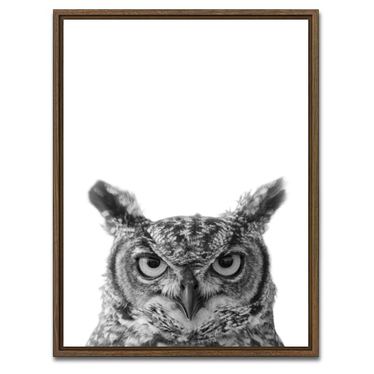 AUTO-MOCKUP WHITE | Owl | 1 Piece | Walnut Framed Canvas | group=3x4