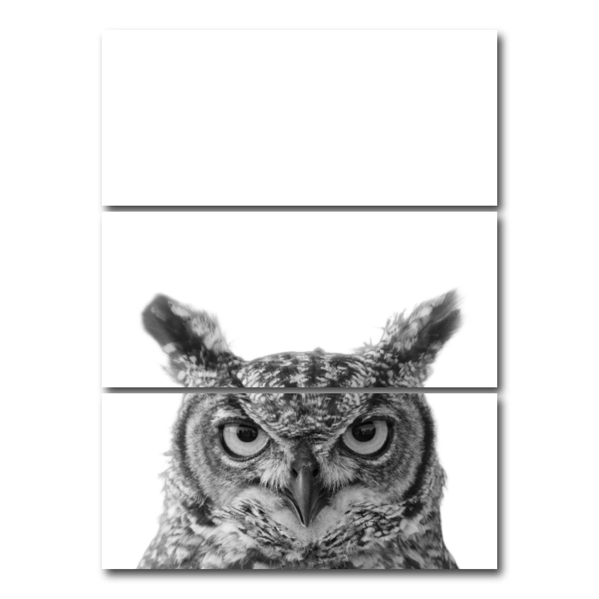 AUTO-MOCKUP WHITE | Owl | 3 Piece | Gallery Wrap Canvas | group=8x18_stacked