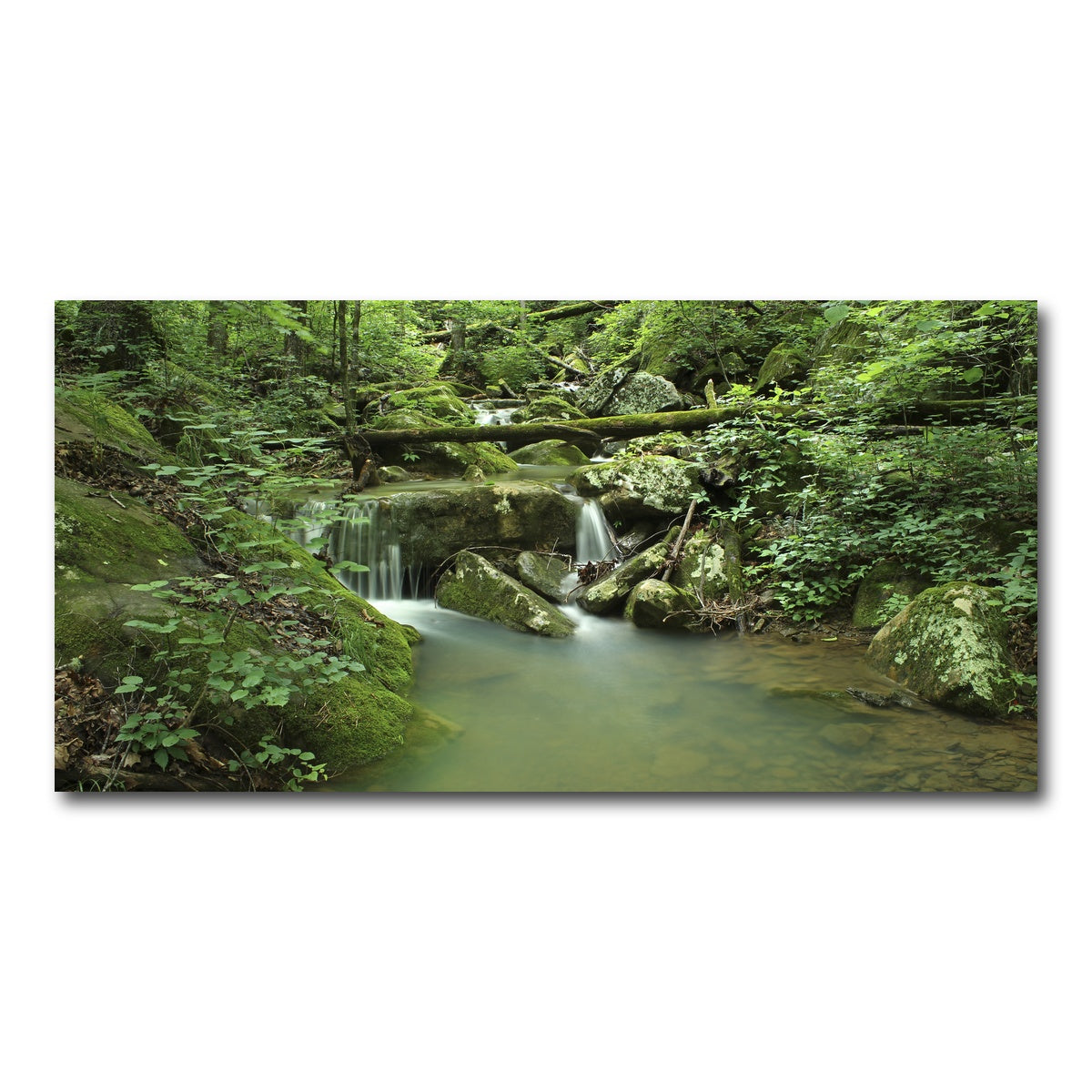 AUTO-MOCKUP WHITE | Ozark National Forest | 1 Piece | Gallery Wrap Canvas | group=2x1