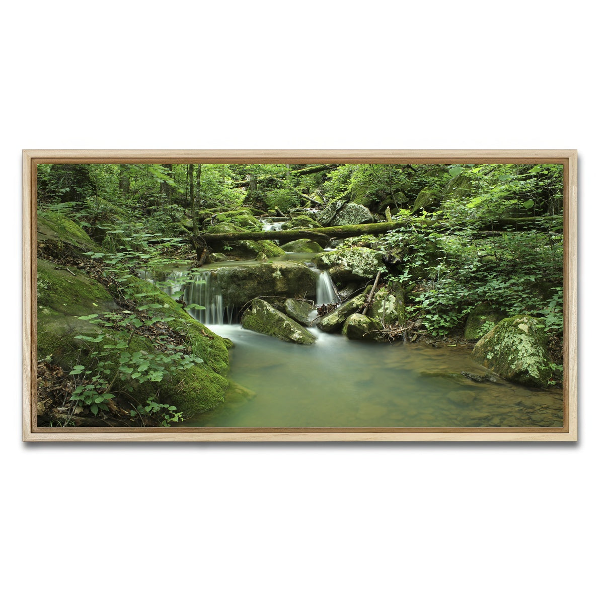 AUTO-MOCKUP WHITE | Ozark National Forest | 1 Piece | Natural Framed Canvas | group=2x1