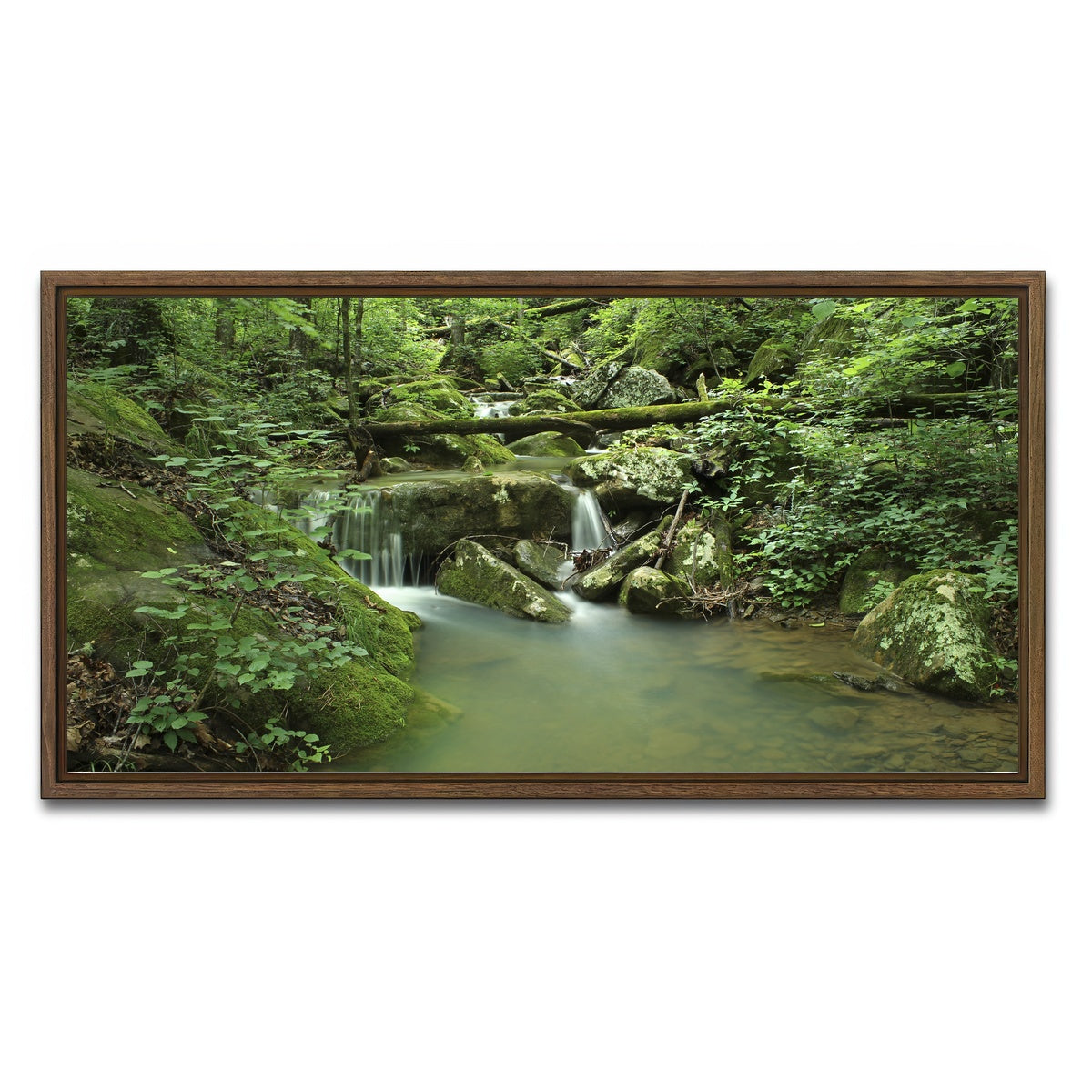 AUTO-MOCKUP WHITE | Ozark National Forest | 1 Piece | Walnut Framed Canvas | group=2x1