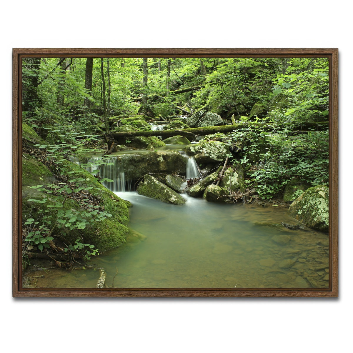 AUTO-MOCKUP WHITE | Ozark National Forest | 1 Piece | Walnut Framed Canvas | group=4x3