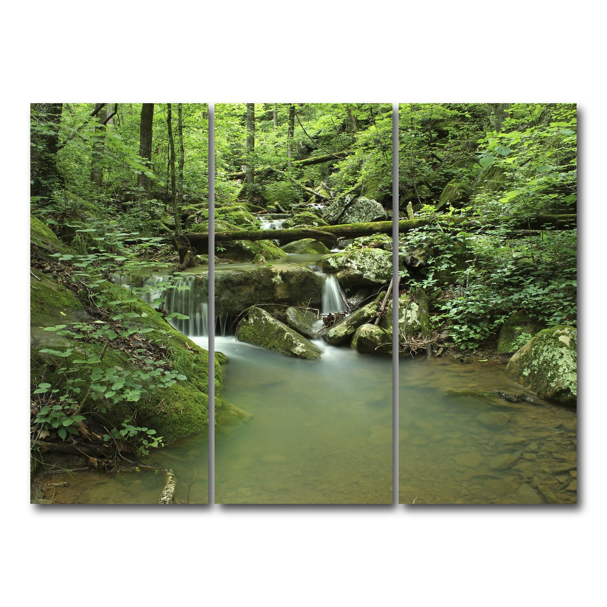 AUTO-MOCKUP WHITE | Ozark National Forest | 3 Piece | Gallery Wrap Canvas | group=8x18