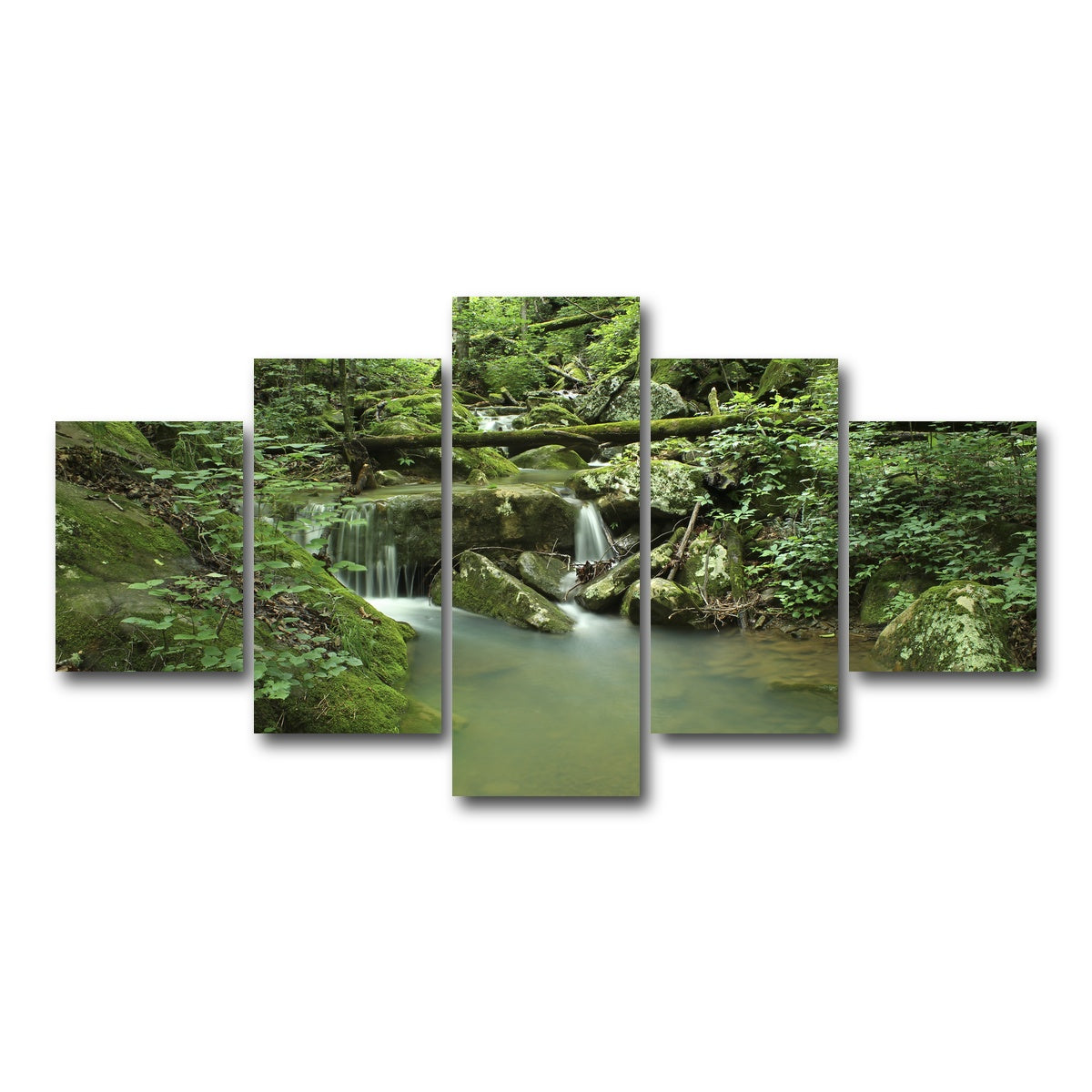 AUTO-MOCKUP WHITE | Ozark National Forest | 5 Piece | Gallery Wrap Canvas | group=5_short
