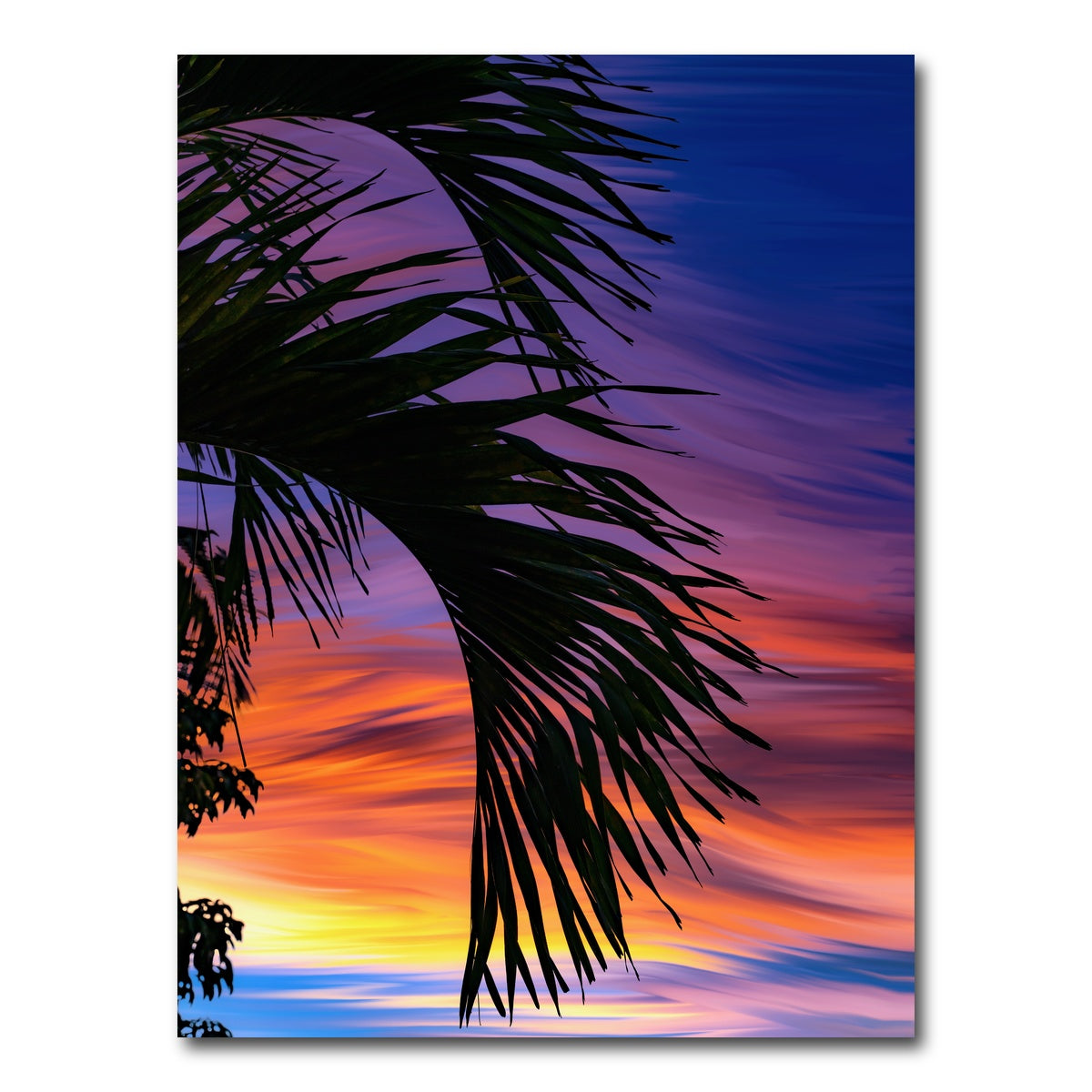 AUTO-MOCKUP WHITE | Painted Palm | 1 Piece | Gallery Wrap Canvas | group=3x4