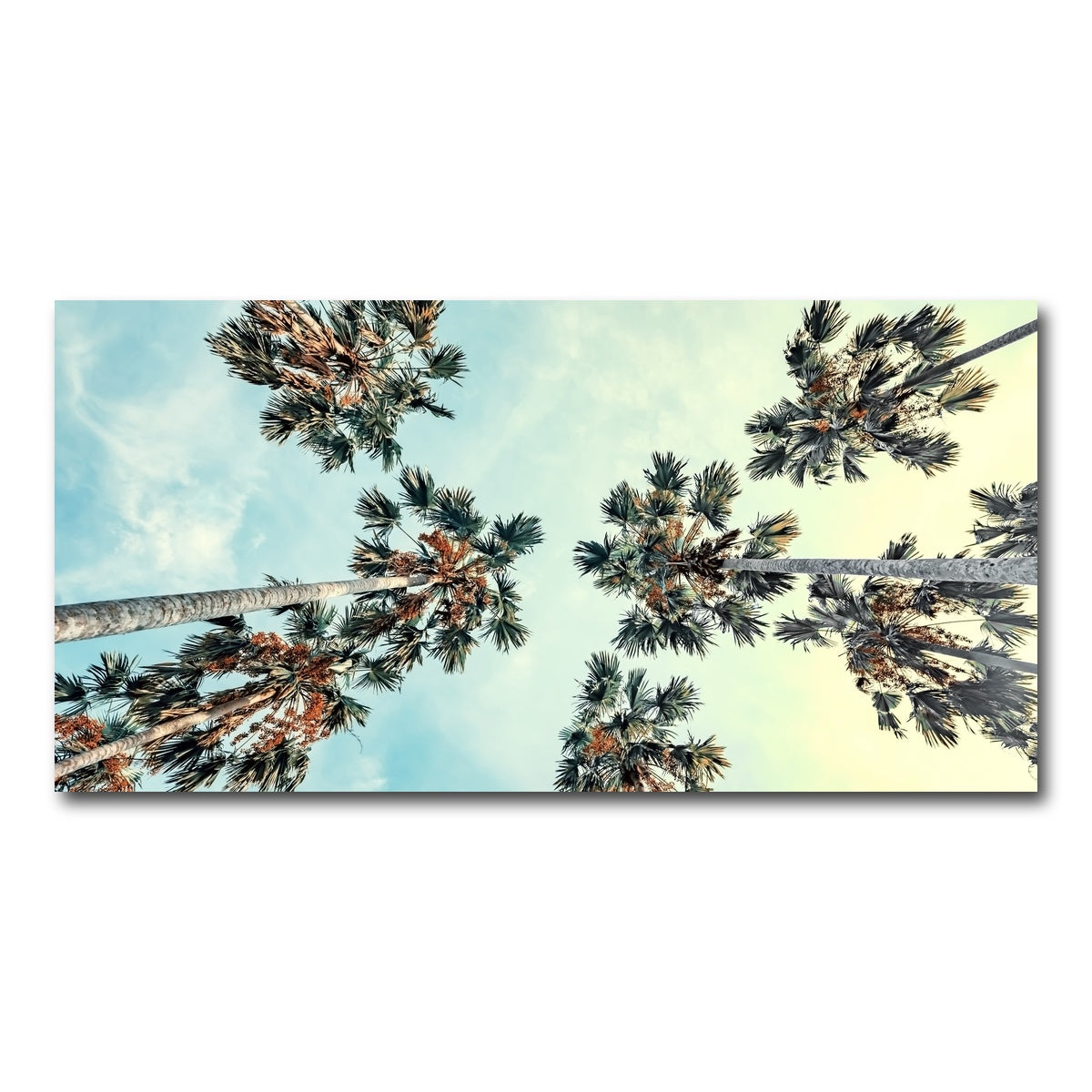 AUTO-MOCKUP WHITE | Palm Trees Blue Sky | 1 Piece | Gallery Wrap Canvas | group=2x1