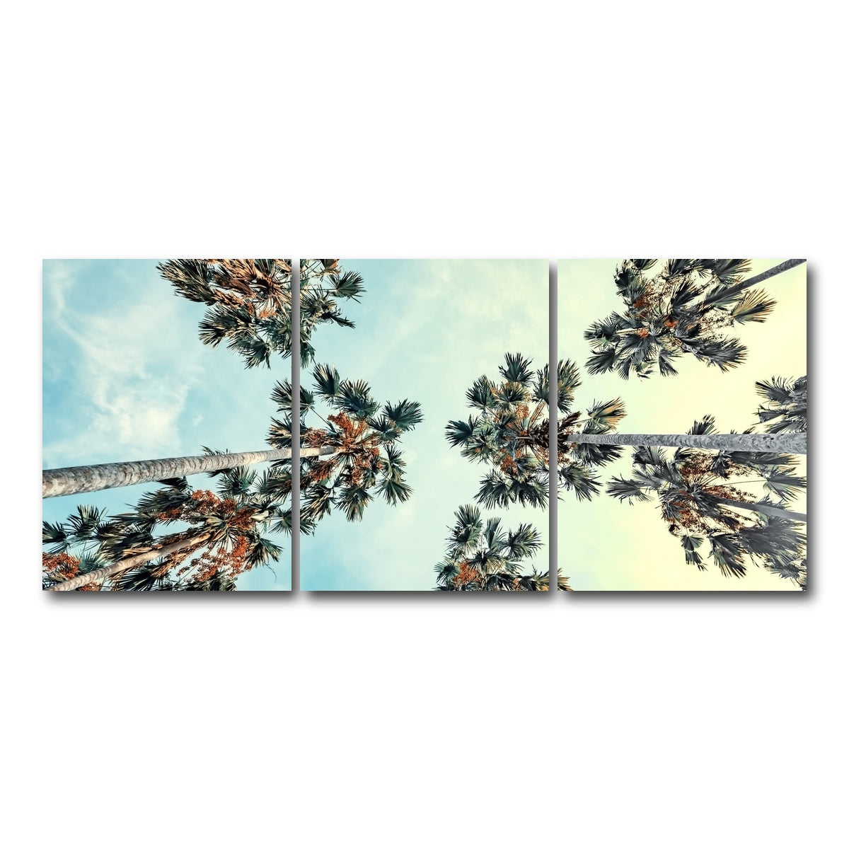 AUTO-MOCKUP WHITE | Palm Trees Blue Sky | 3 Piece | Gallery Wrap Canvas | group=18x24