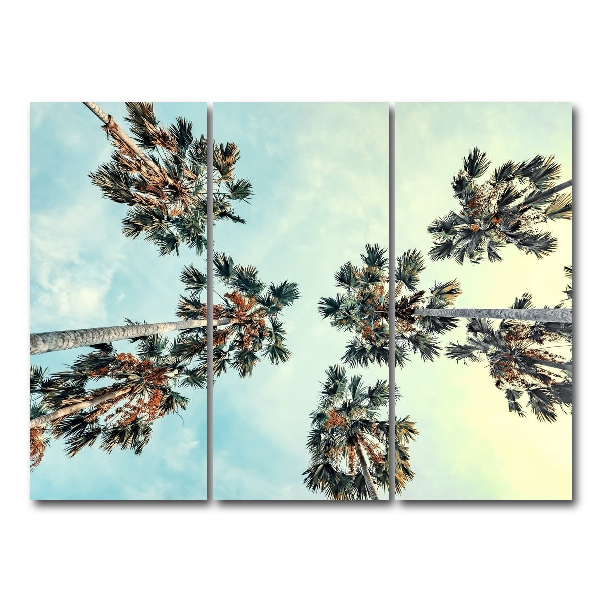 AUTO-MOCKUP WHITE | Palm Trees Blue Sky | 3 Piece | Gallery Wrap Canvas | group=8x18