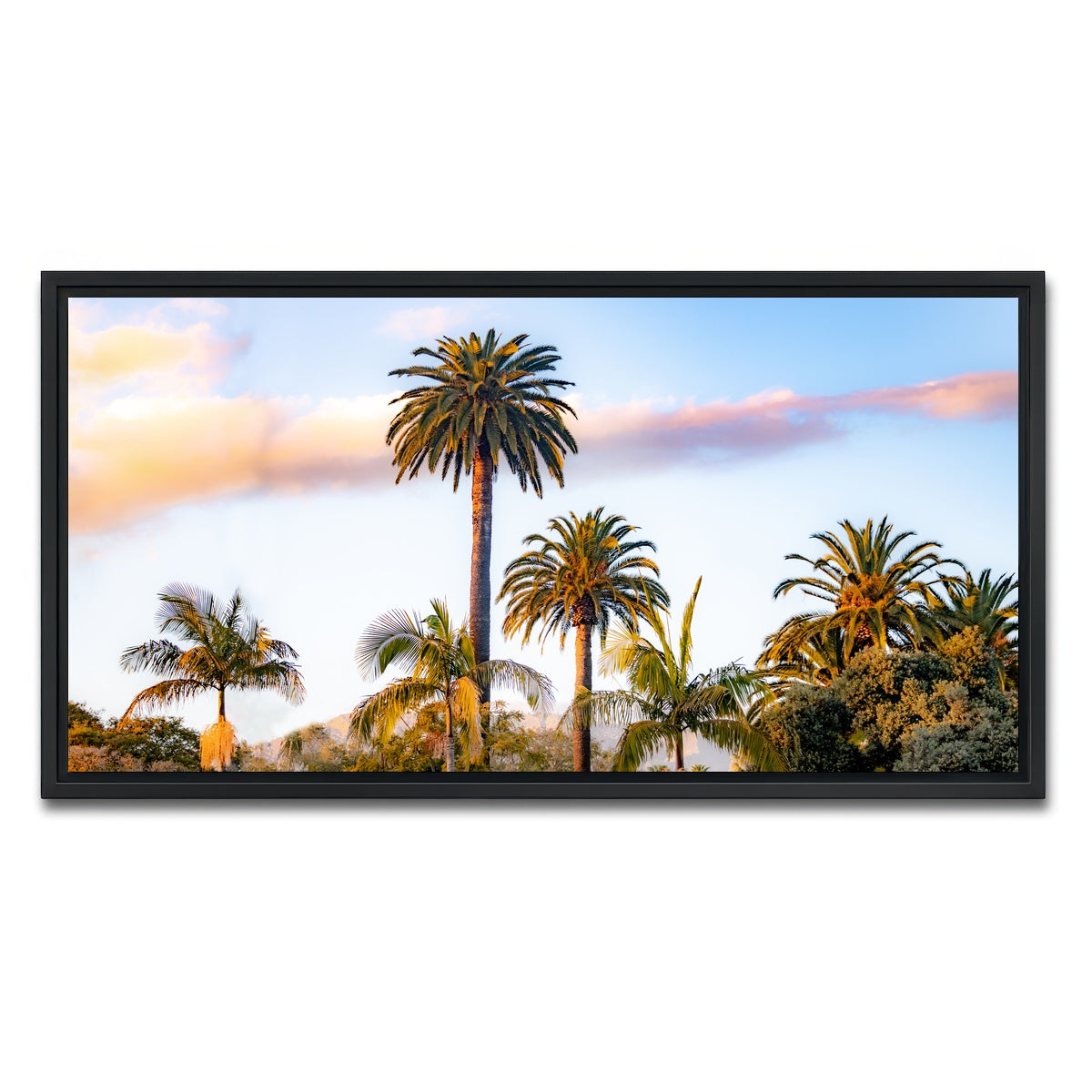 AUTO-MOCKUP WHITE | Palm Trees | 1 Piece | Black Framed Canvas | group=2x1