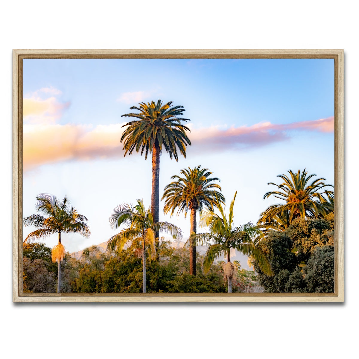 AUTO-MOCKUP WHITE | Palm Trees | 1 Piece | Natural Framed Canvas | group=4x3