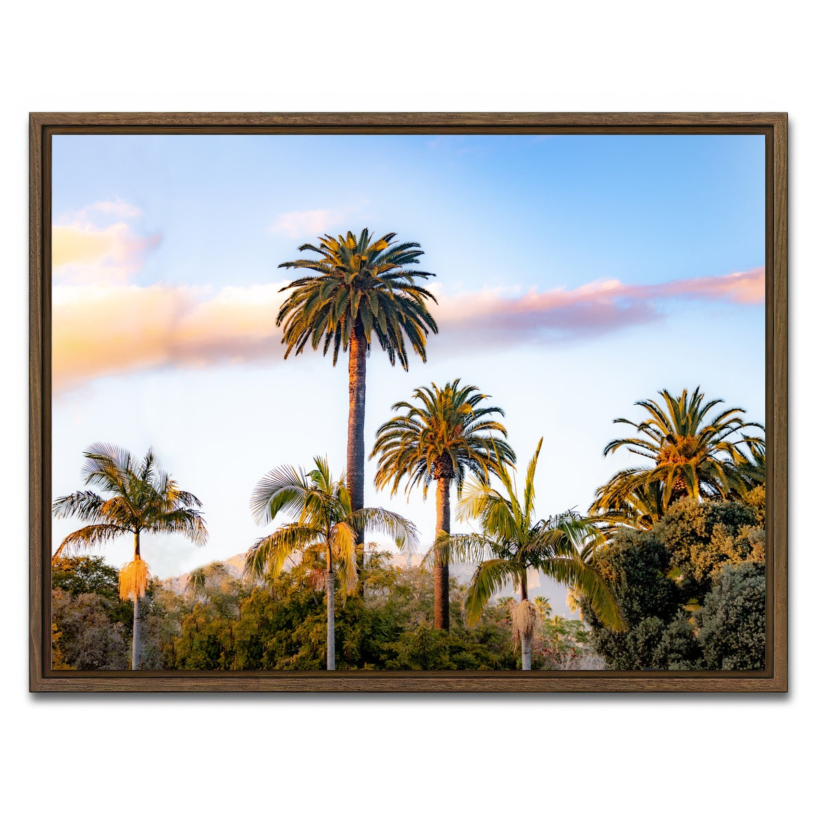 AUTO-MOCKUP WHITE | Palm Trees | 1 Piece | Walnut Framed Canvas | group=4x3