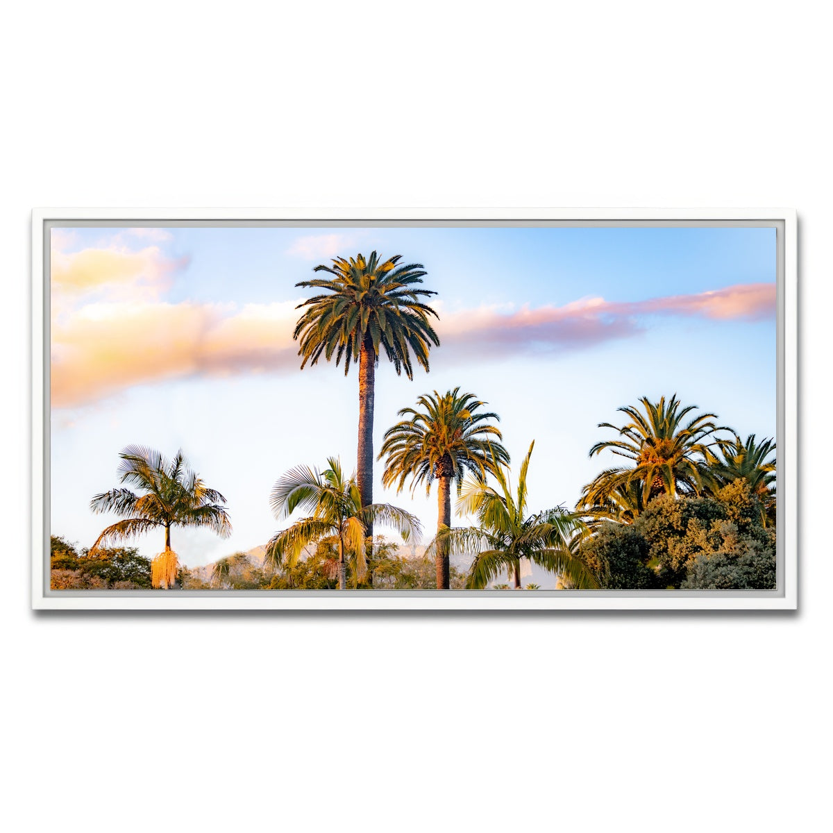 AUTO-MOCKUP WHITE | Palm Trees | 1 Piece | White Framed Canvas | group=2x1
