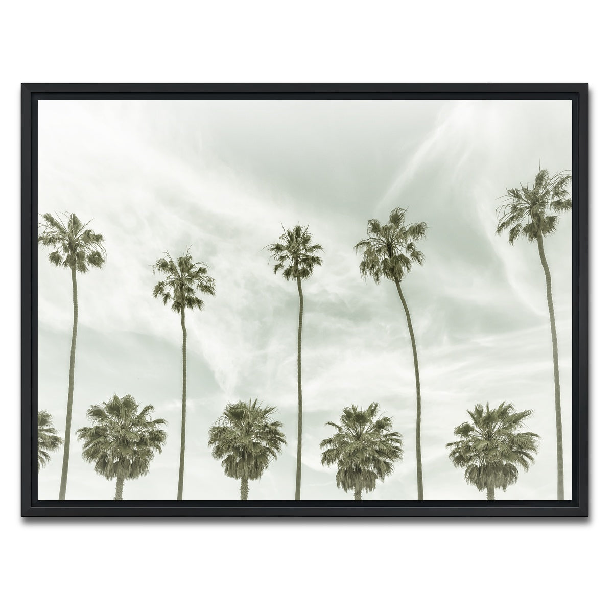 AUTO-MOCKUP WHITE | Palm Trees and Clouds | 1 Piece | Black Framed Canvas | group=4x3