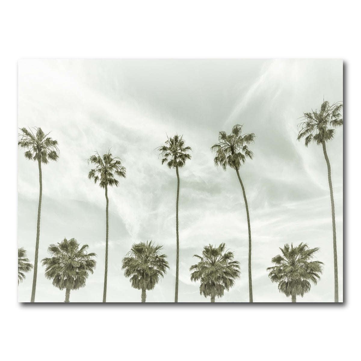 AUTO-MOCKUP WHITE | Palm Trees and Clouds | 1 Piece | Gallery Wrap Canvas | group=4x3
