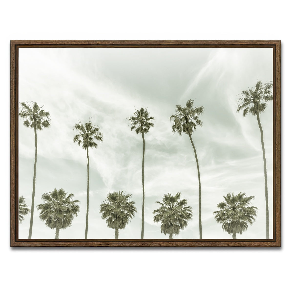 AUTO-MOCKUP WHITE | Palm Trees and Clouds | 1 Piece | Walnut Framed Canvas | group=4x3