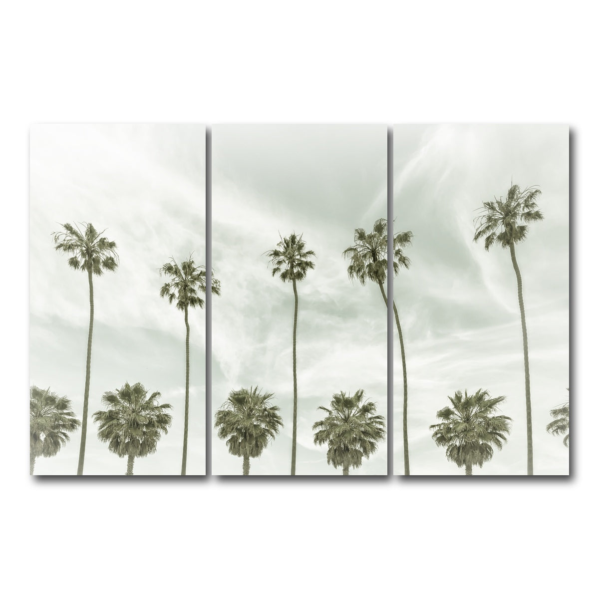 AUTO-MOCKUP WHITE | Palm Trees and Clouds | 3 Piece | Gallery Wrap Canvas | group=12x24