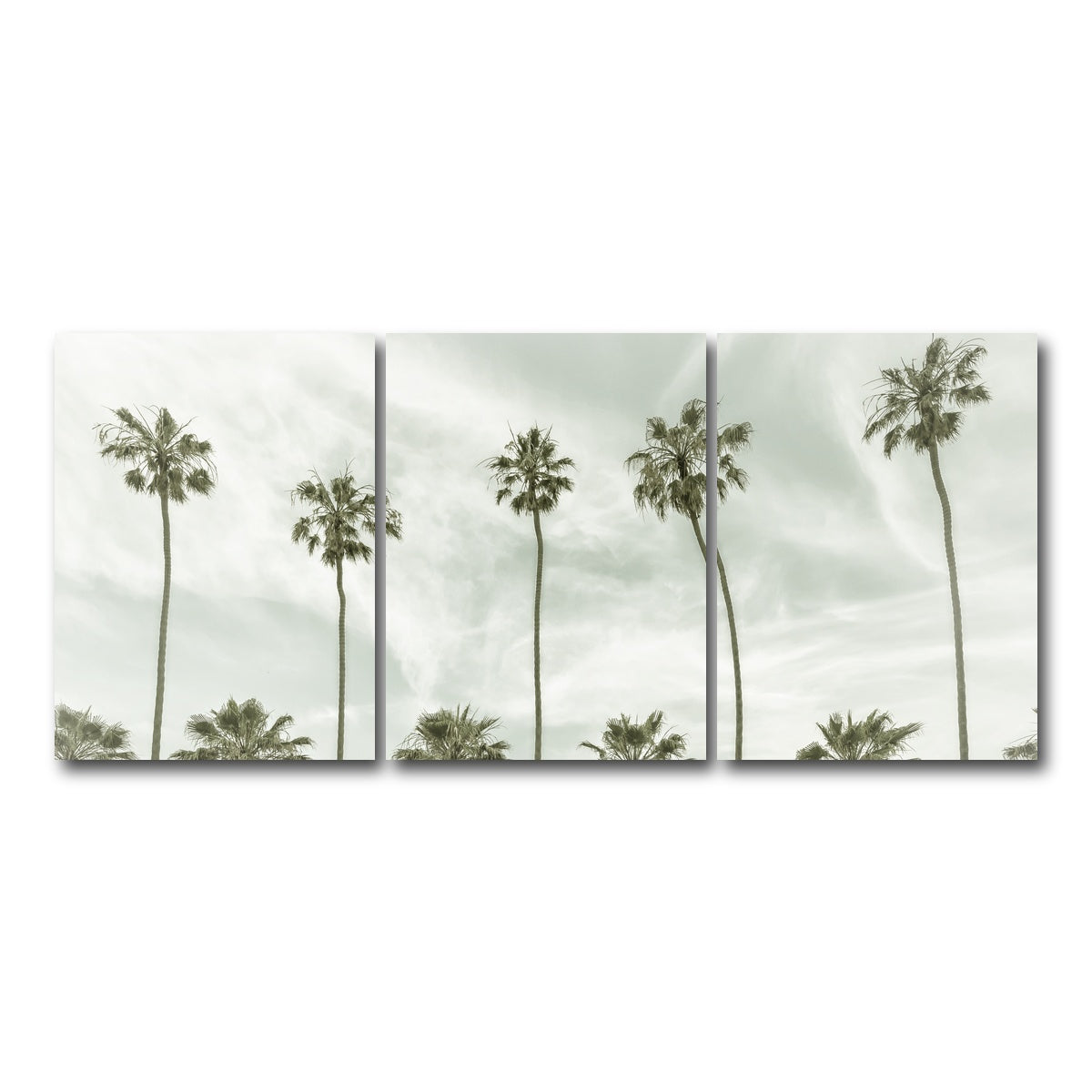 AUTO-MOCKUP WHITE | Palm Trees and Clouds | 3 Piece | Gallery Wrap Canvas | group=18x24