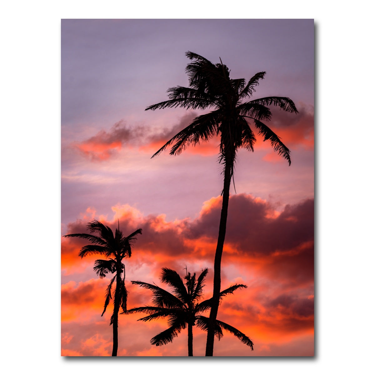 AUTO-MOCKUP WHITE | Palm Trees at Sunset | 1 Piece | Gallery Wrap Canvas | group=3x4