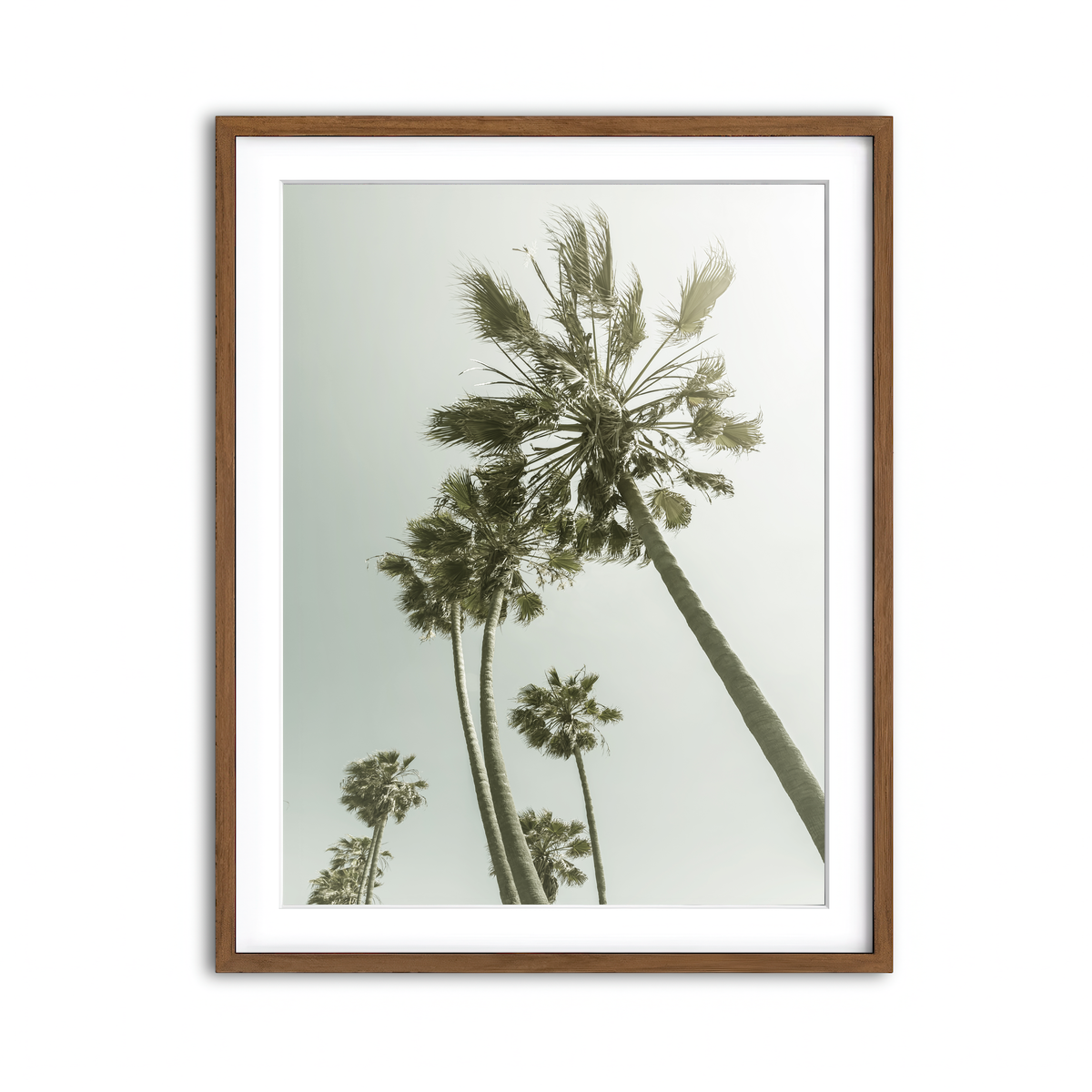 Framed Print 3x4 Walnut
