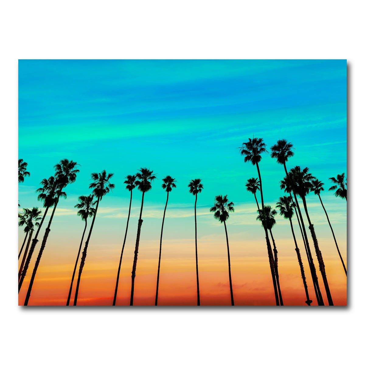 AUTO-MOCKUP WHITE | Palm tree Sunset Santa Barbara | 1 Piece | Gallery Wrap Canvas | group=4x3