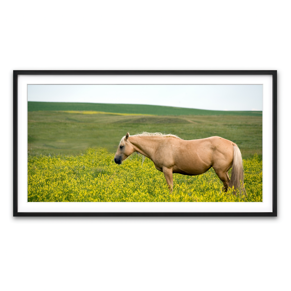 Framed Print 2x1 Black