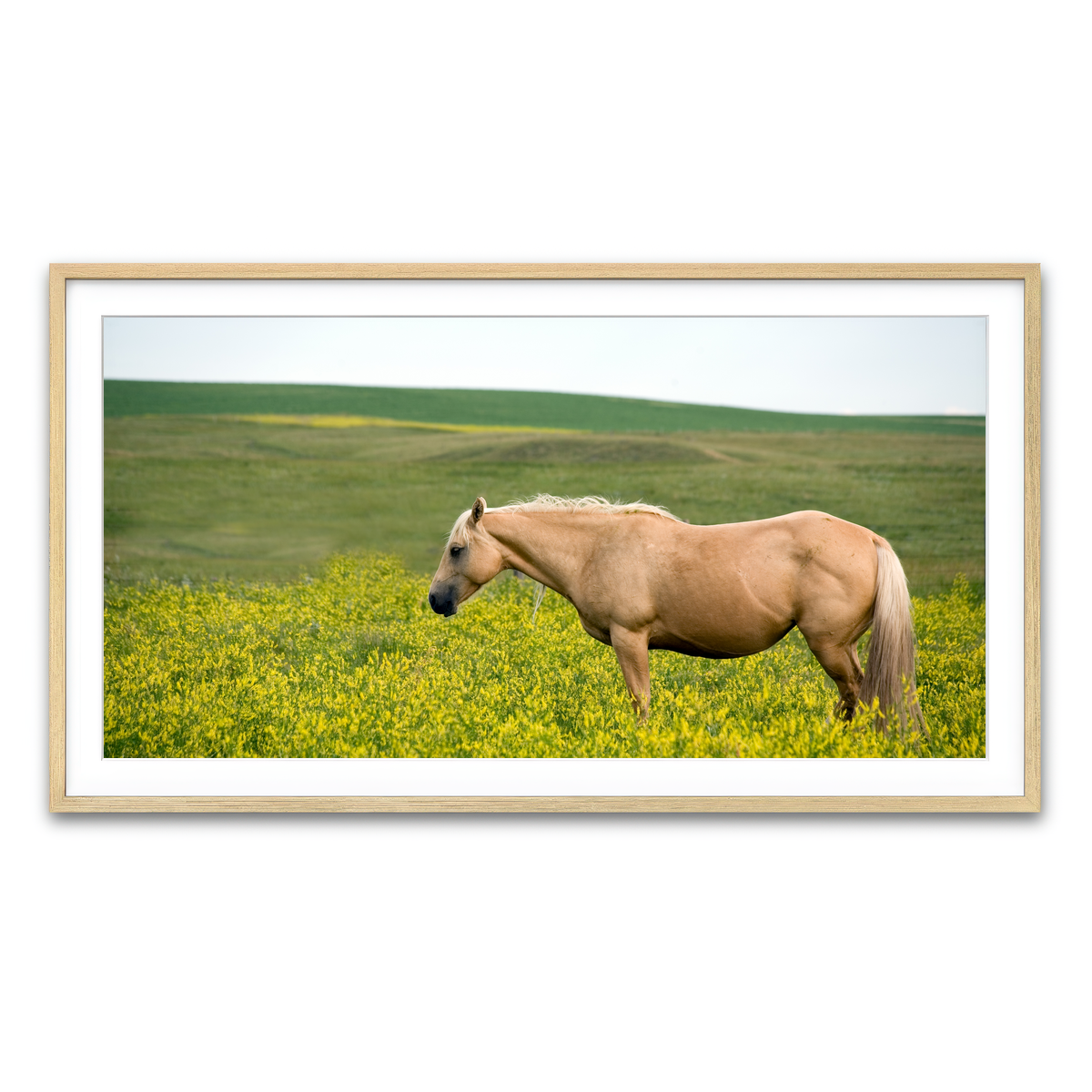 Framed Print 2x1 Natural