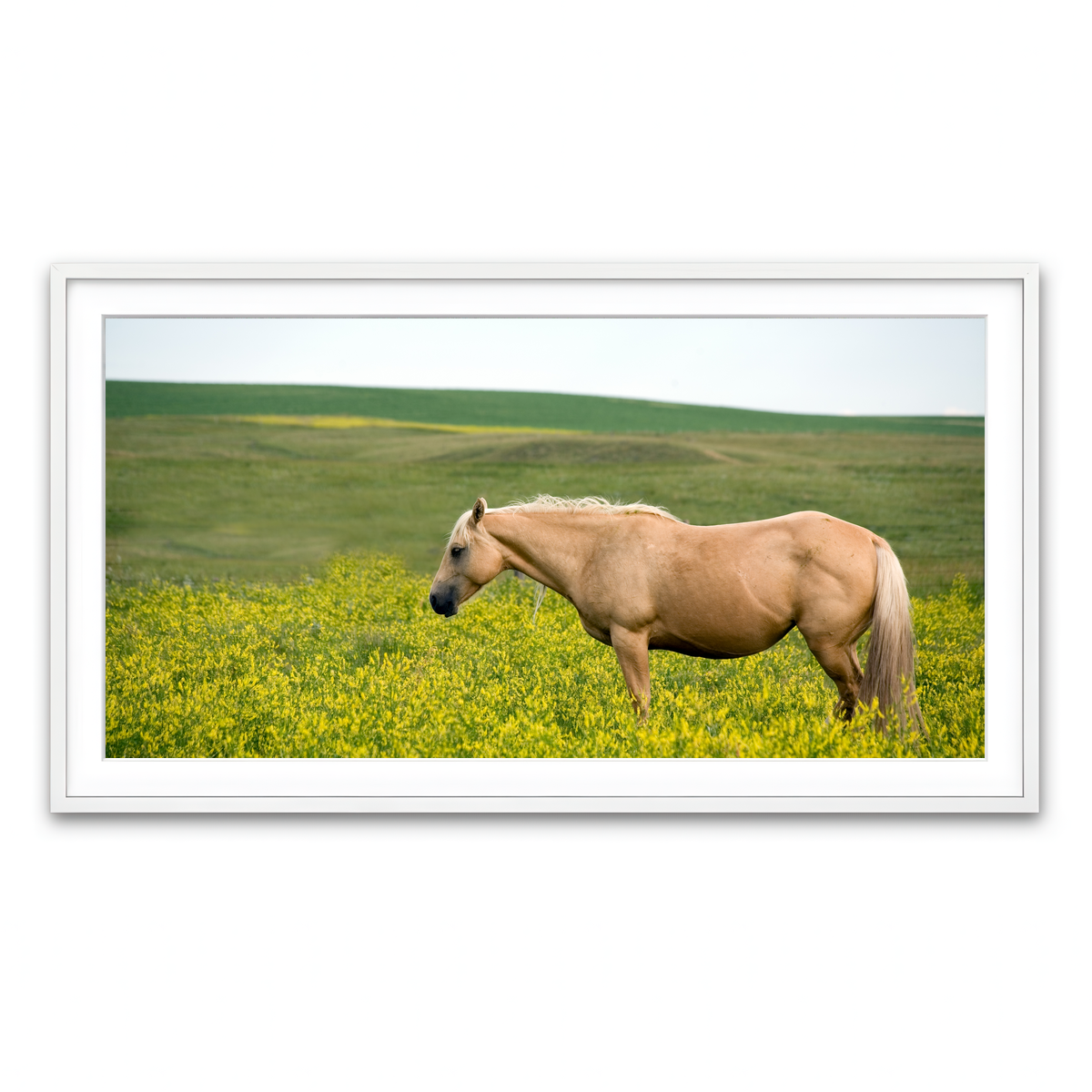 Framed Print 2x1 White