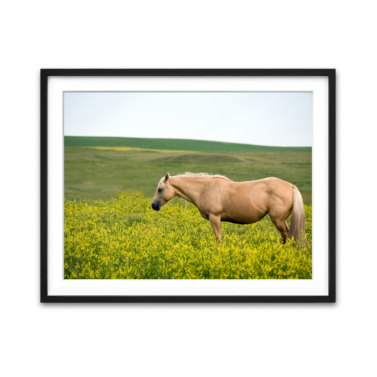 Framed Print 4x3 Black