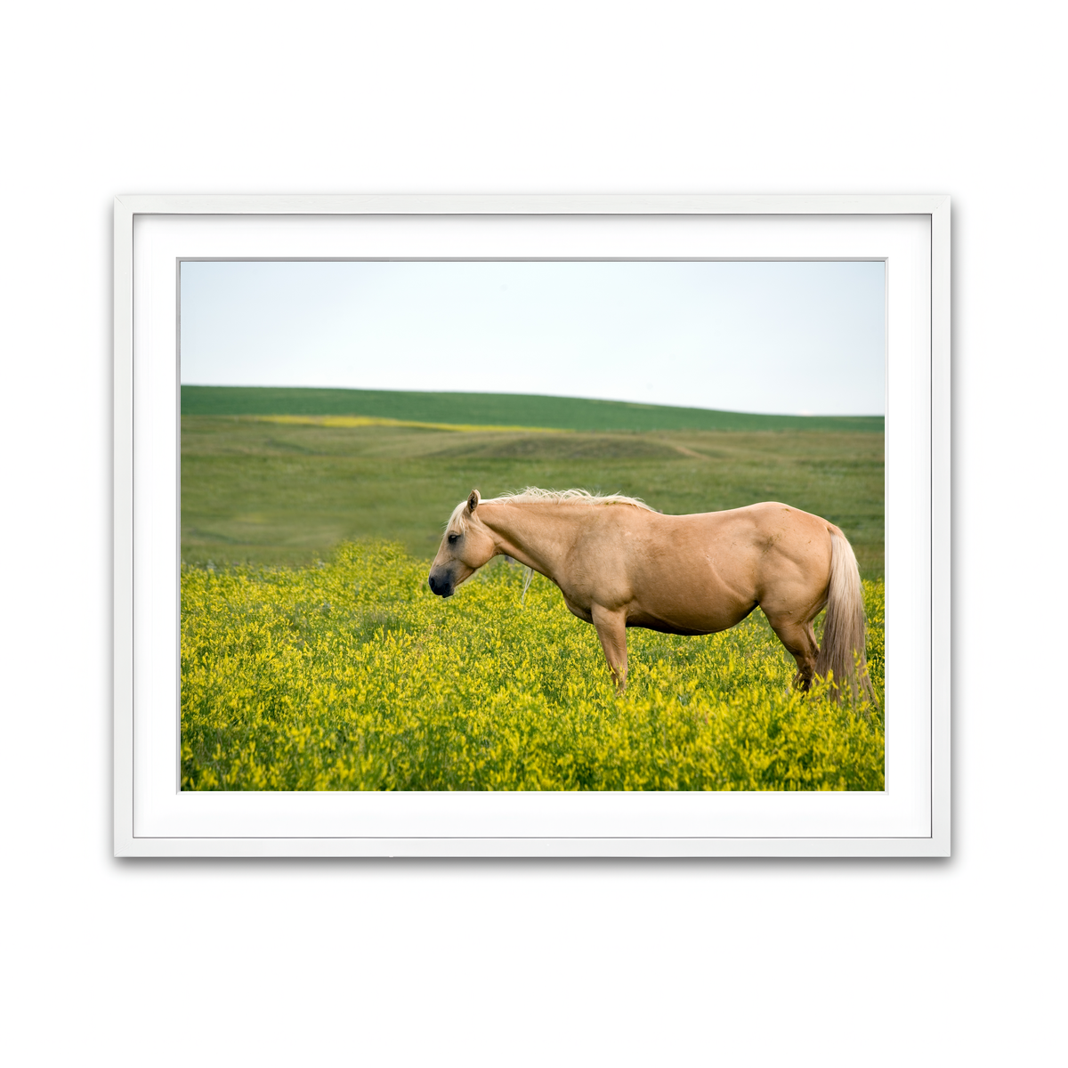 Framed Print 4x3 White