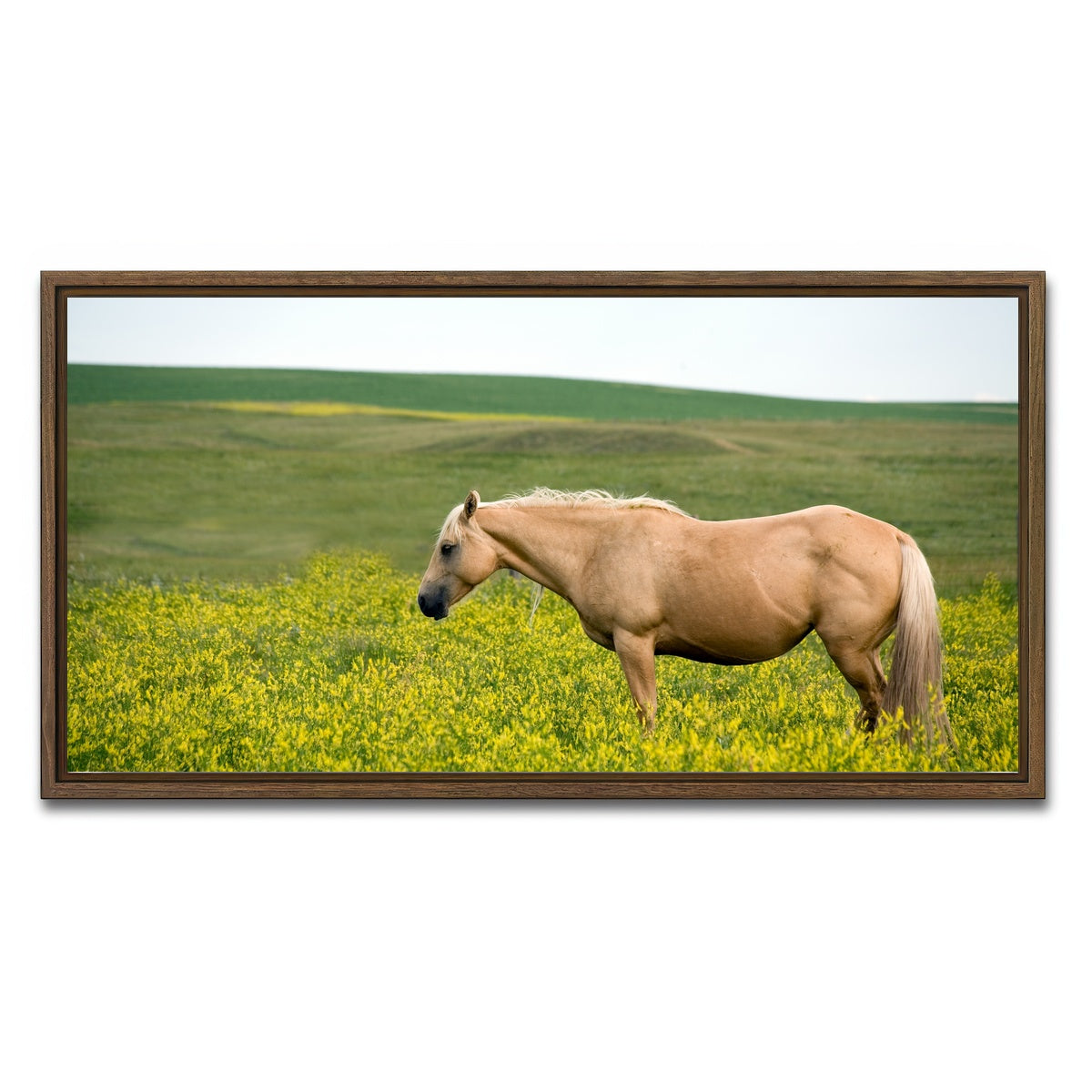 AUTO-MOCKUP WHITE | Palomino quarter horse | 1 Piece | Walnut Framed Canvas | group=2x1