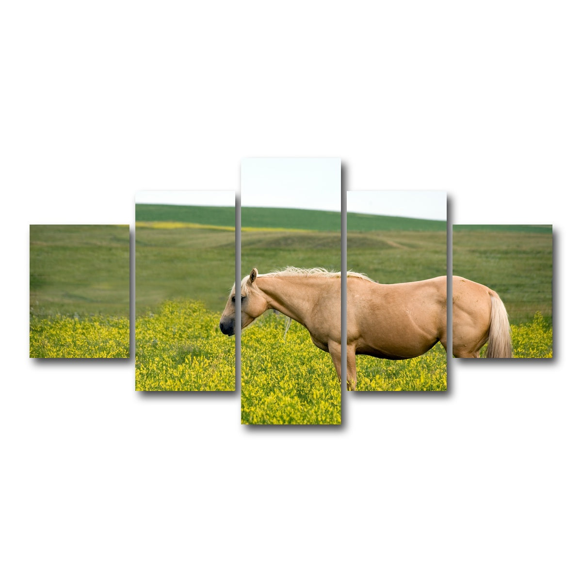 AUTO-MOCKUP WHITE | Palomino quarter horse | 5 Piece | Gallery Wrap Canvas | group=5_short