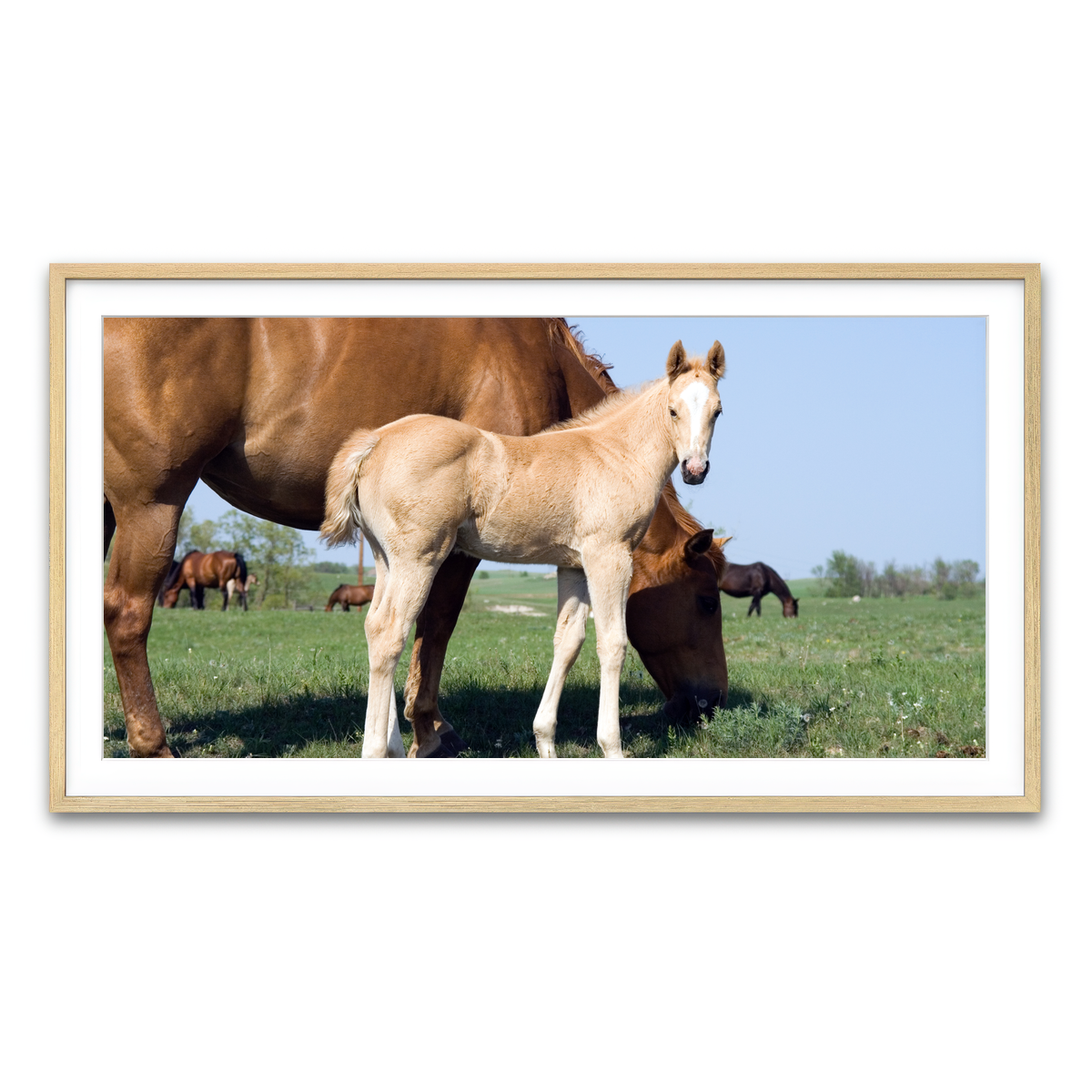 Framed Print 2x1 Natural