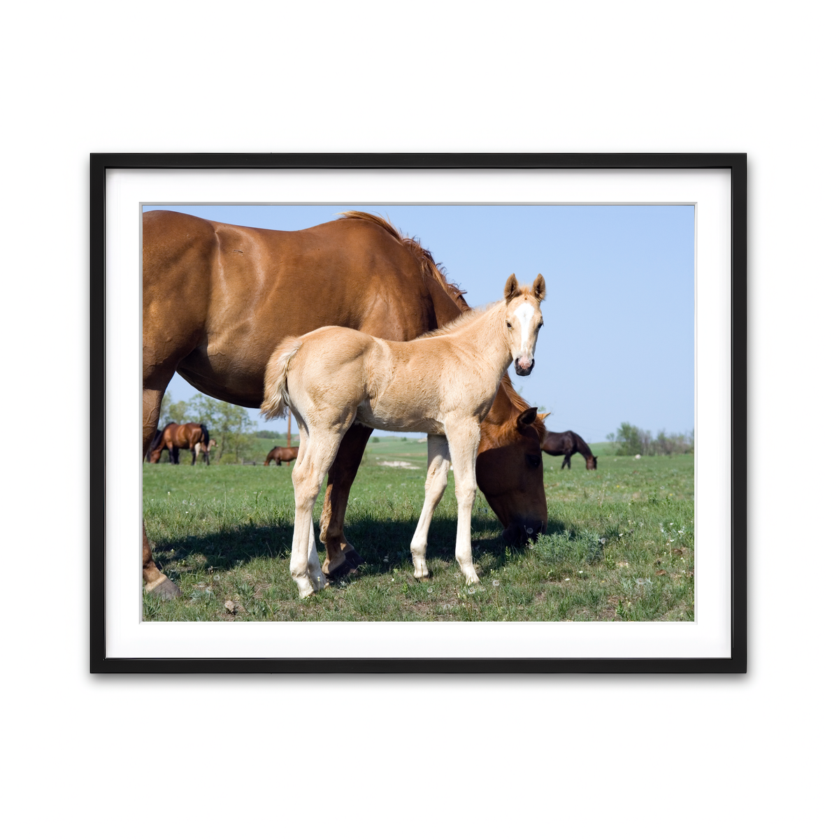 Framed Print 4x3 Black