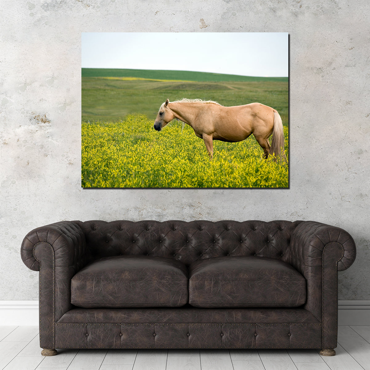 Palomino Quarter Horse Wall Art