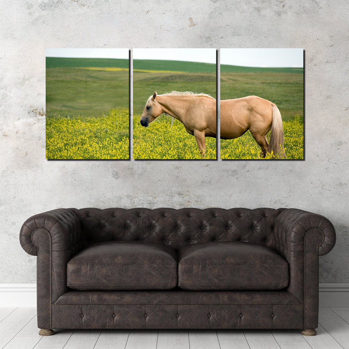 Palomino Quarter Horse Wall Art