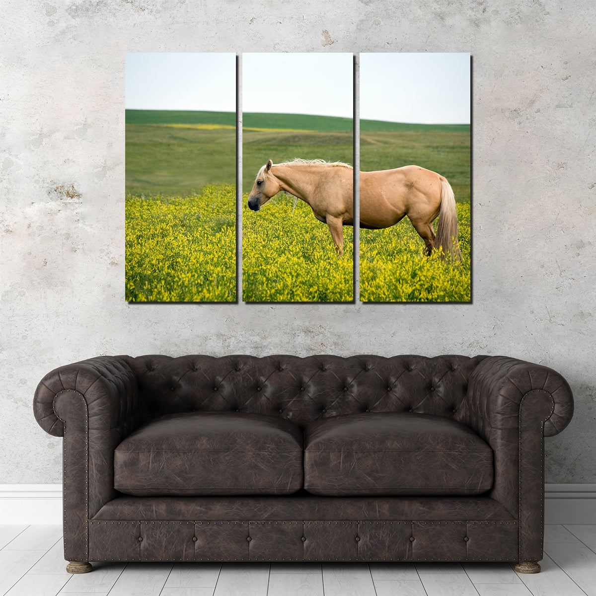 Palomino Quarter Horse Wall Art