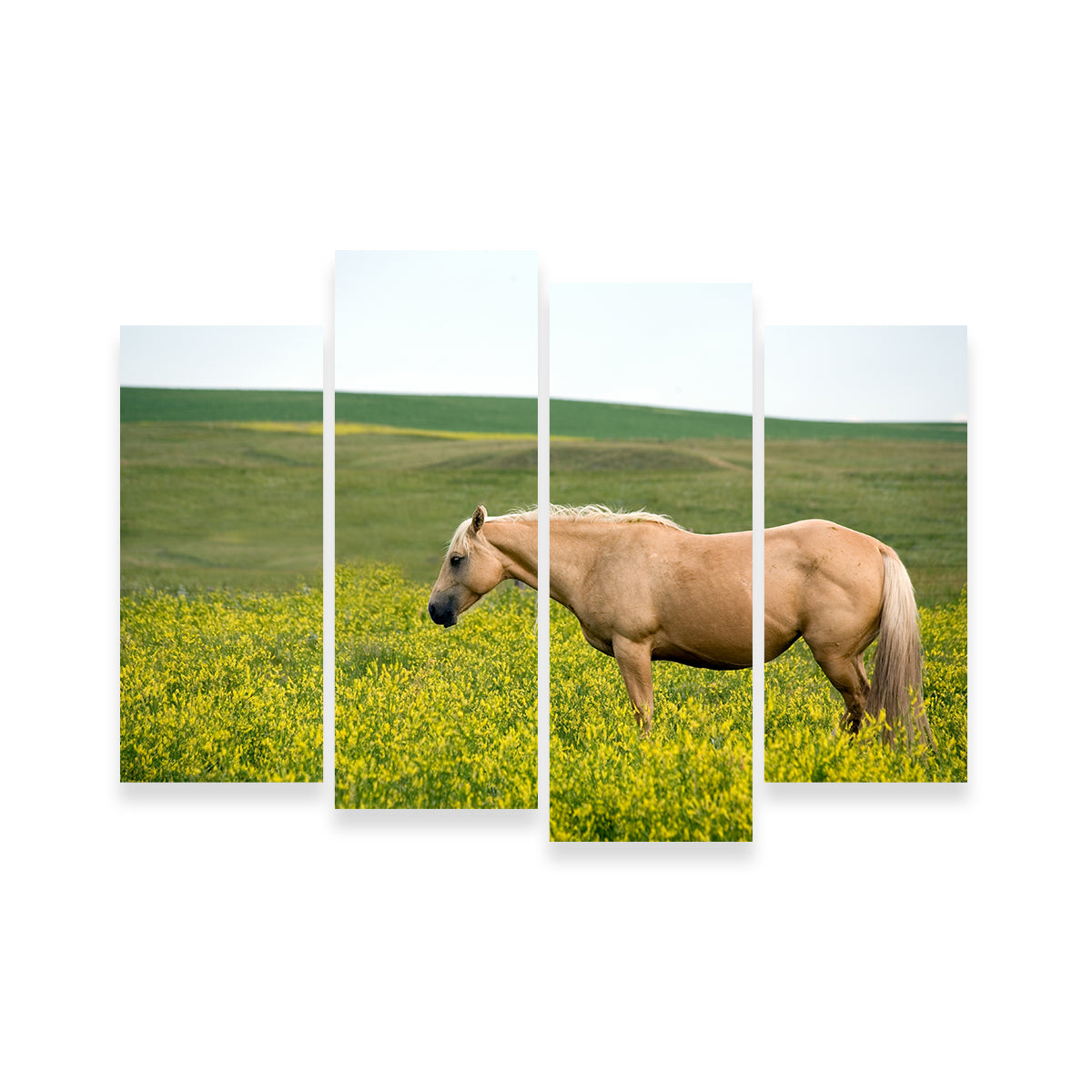 Palomino Quarter Horse Wall Art