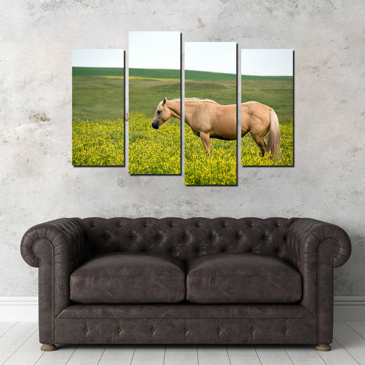 Palomino Quarter Horse Wall Art