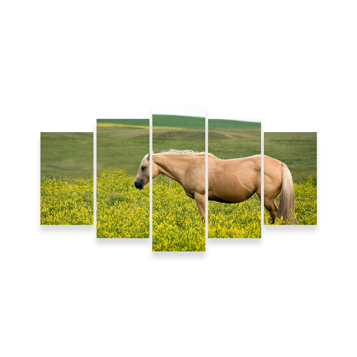 Palomino Quarter Horse Wall Art