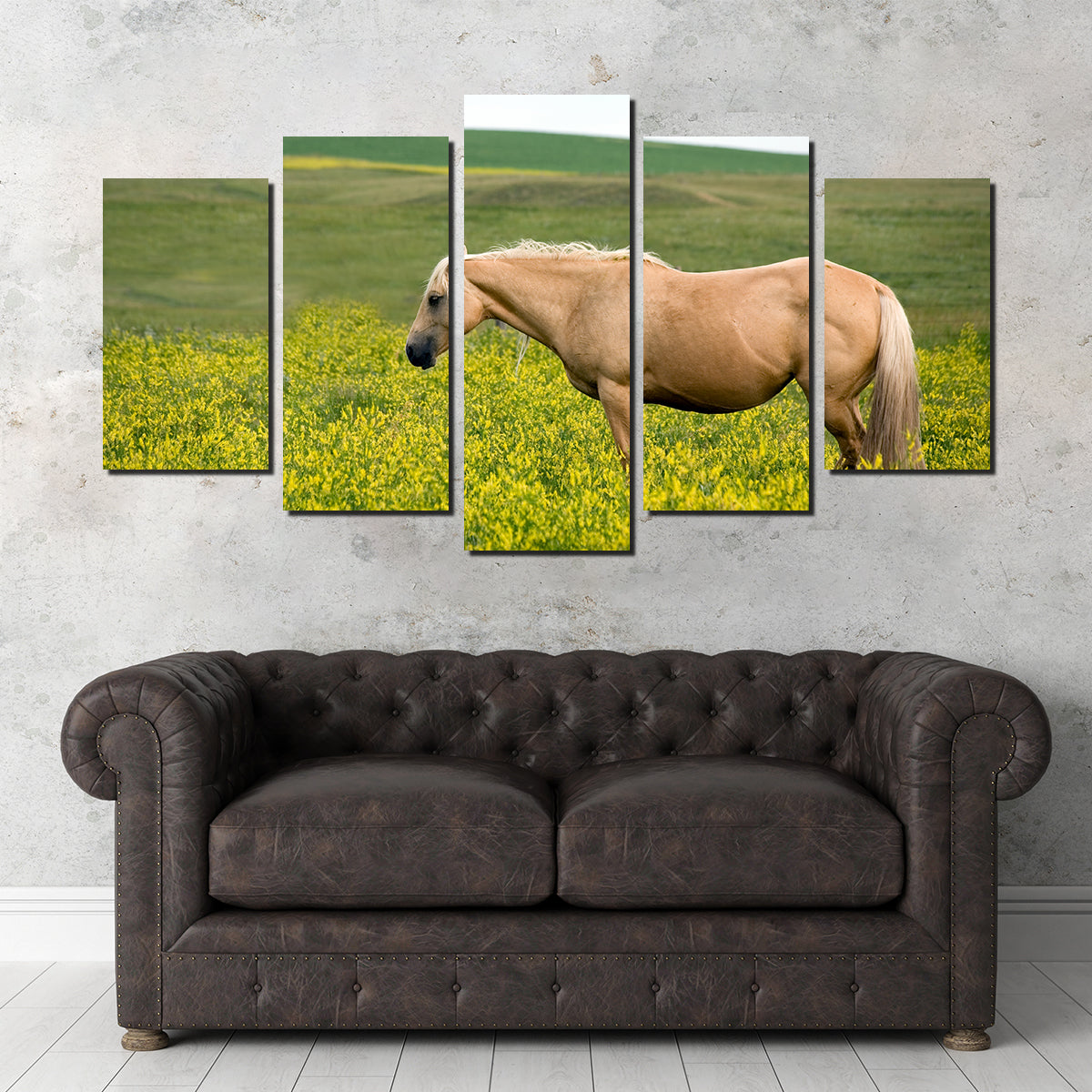 Palomino Quarter Horse Wall Art