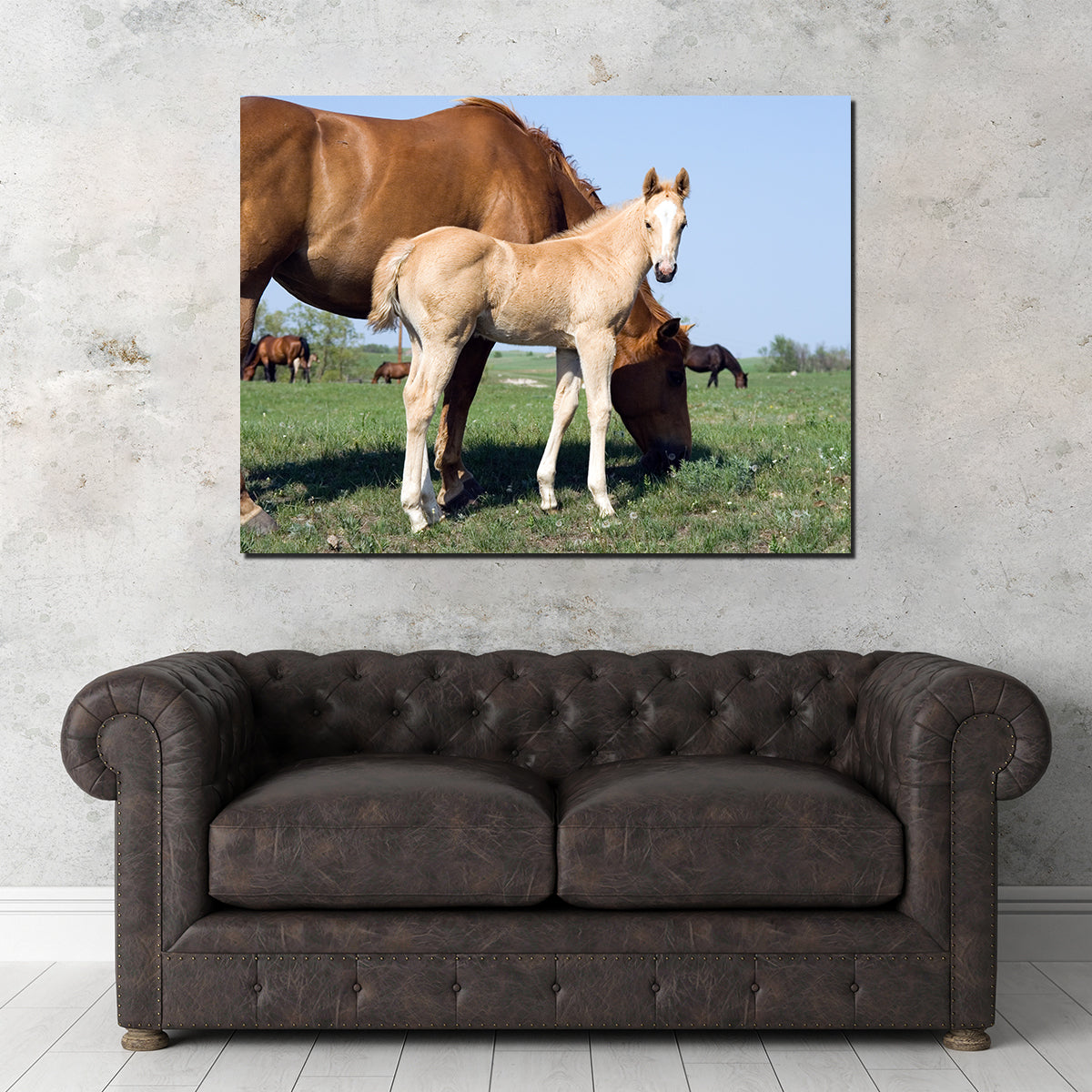 Palomino Quarter Horse Foal and Mare Wall Art