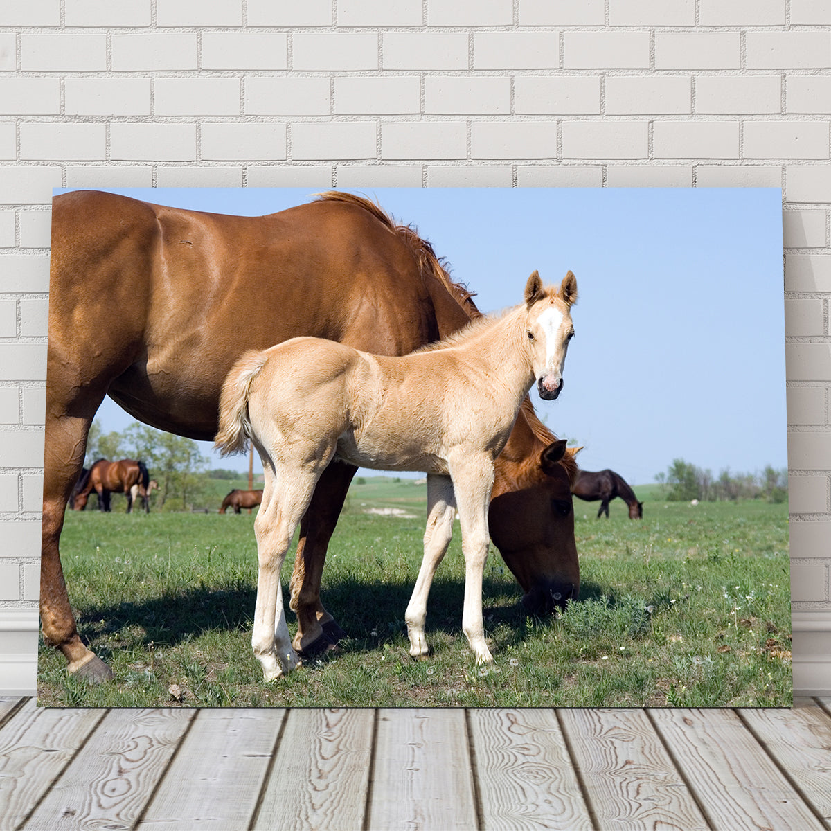 Vintage Midcentury ' Pasture Pal ' BROWN Mare HORSE & Foal PBN Paint By Number Large store Painting Framed c1960s