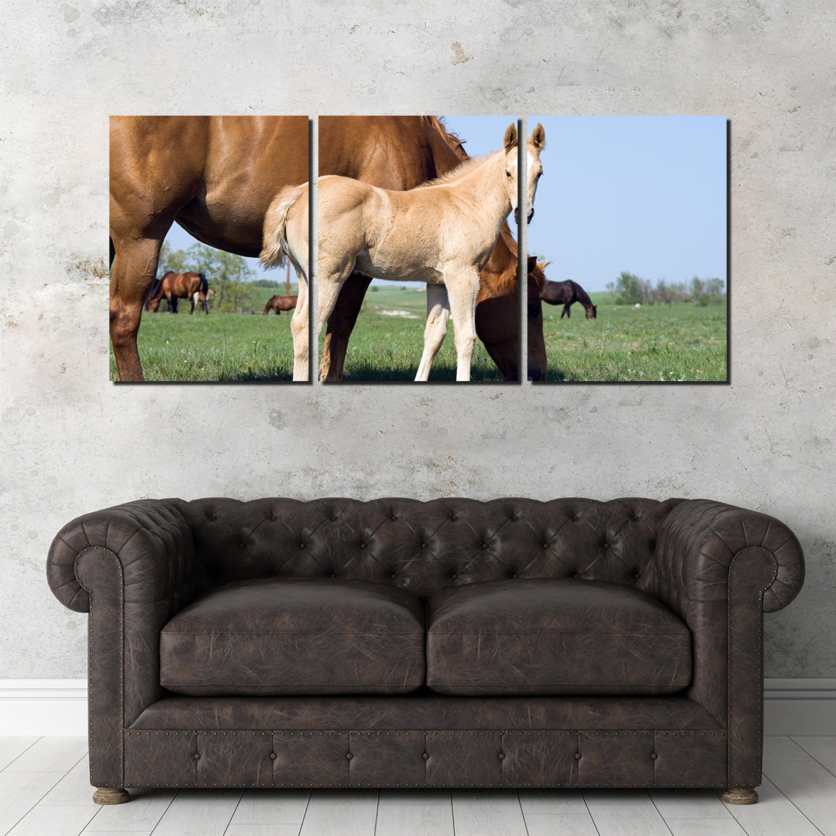 Palomino Quarter Horse Foal and Mare Wall Art