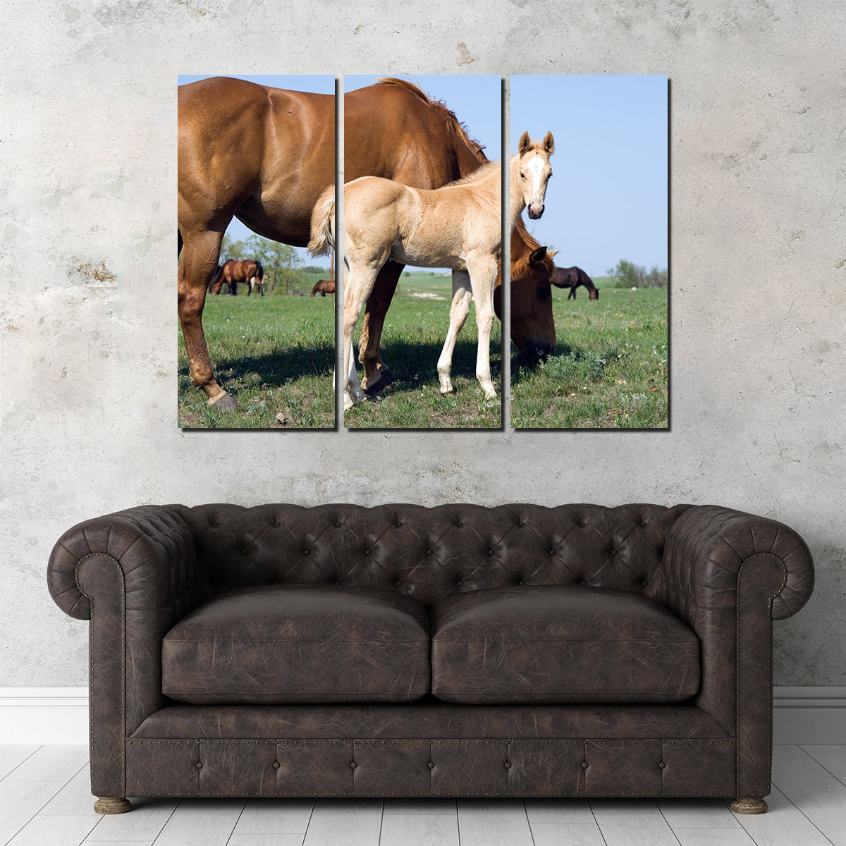 Palomino Quarter Horse Foal and Mare Wall Art