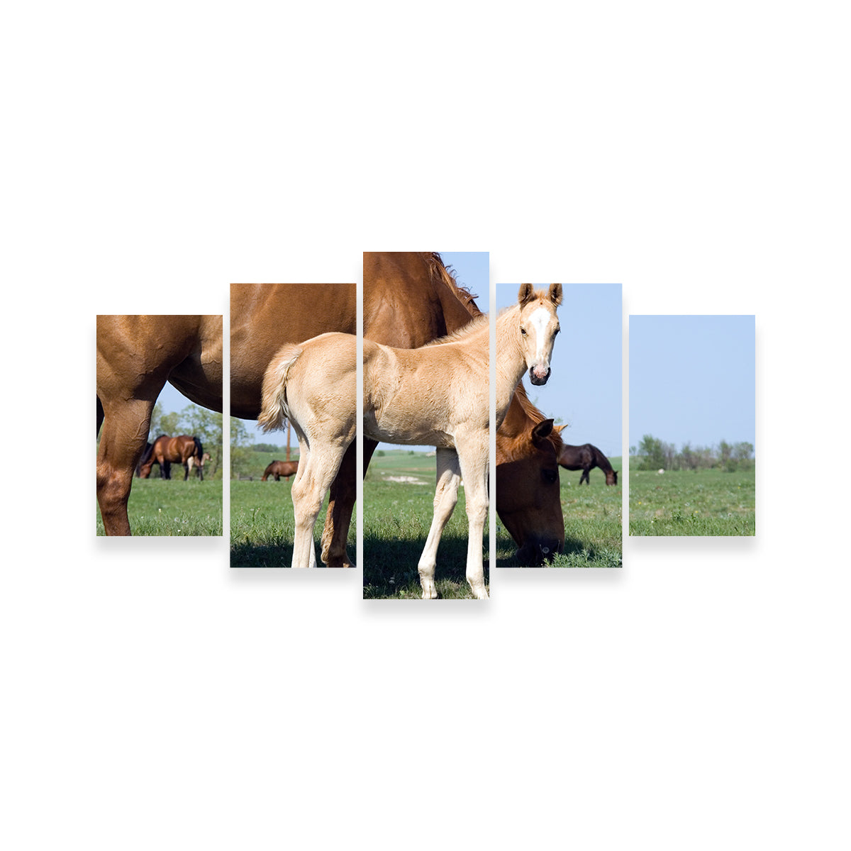 Palomino Quarter Horse Foal and Mare Wall Art