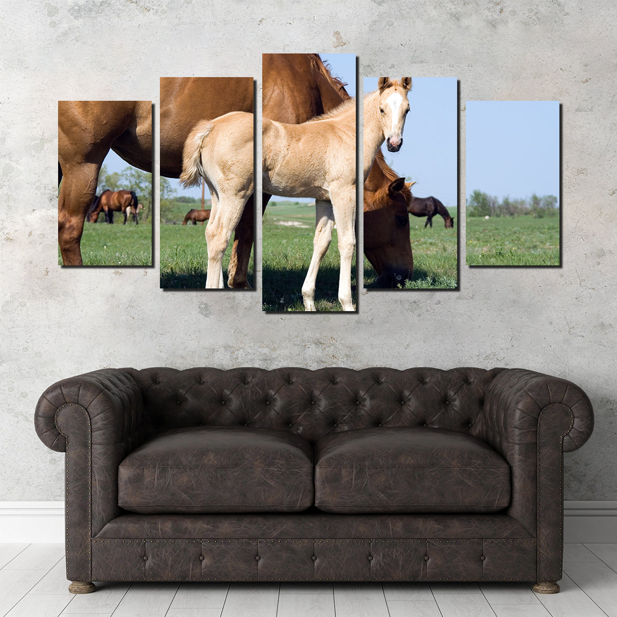 Palomino Quarter Horse Foal and Mare Wall Art