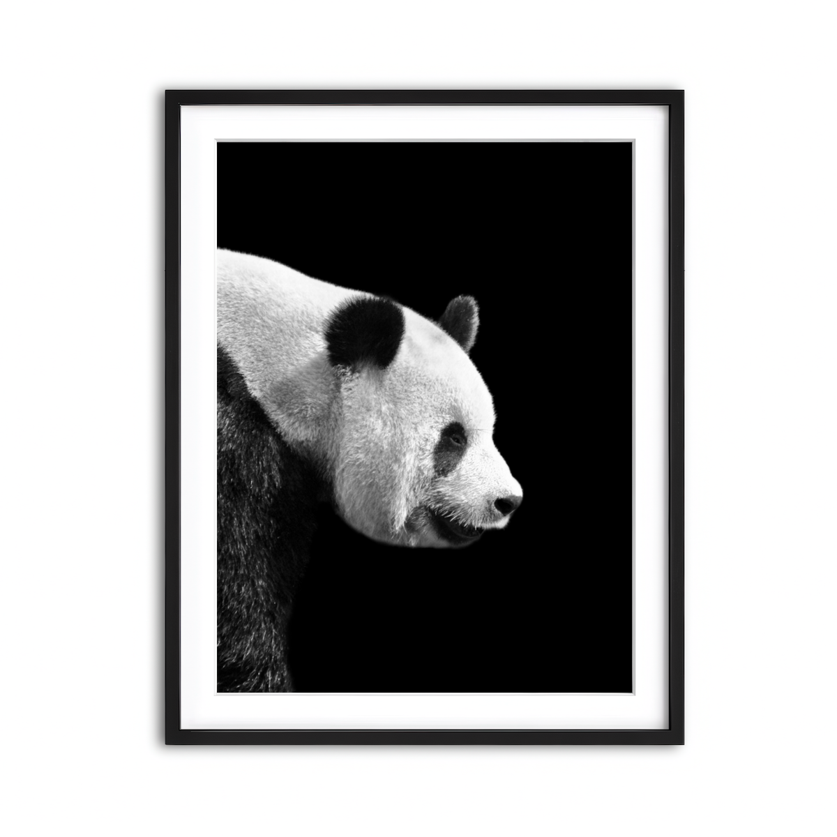 Framed Print 3x4 Black