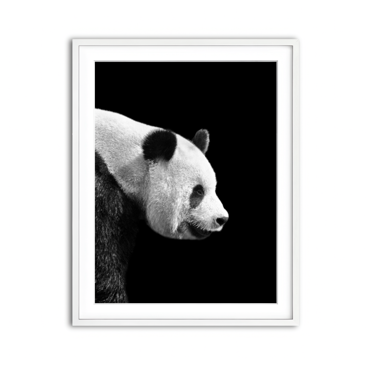 Framed Print 3x4 White