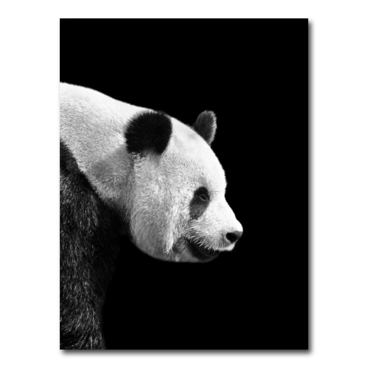 AUTO-MOCKUP WHITE | Panda | 1 Piece | Gallery Wrap Canvas | group=3x4