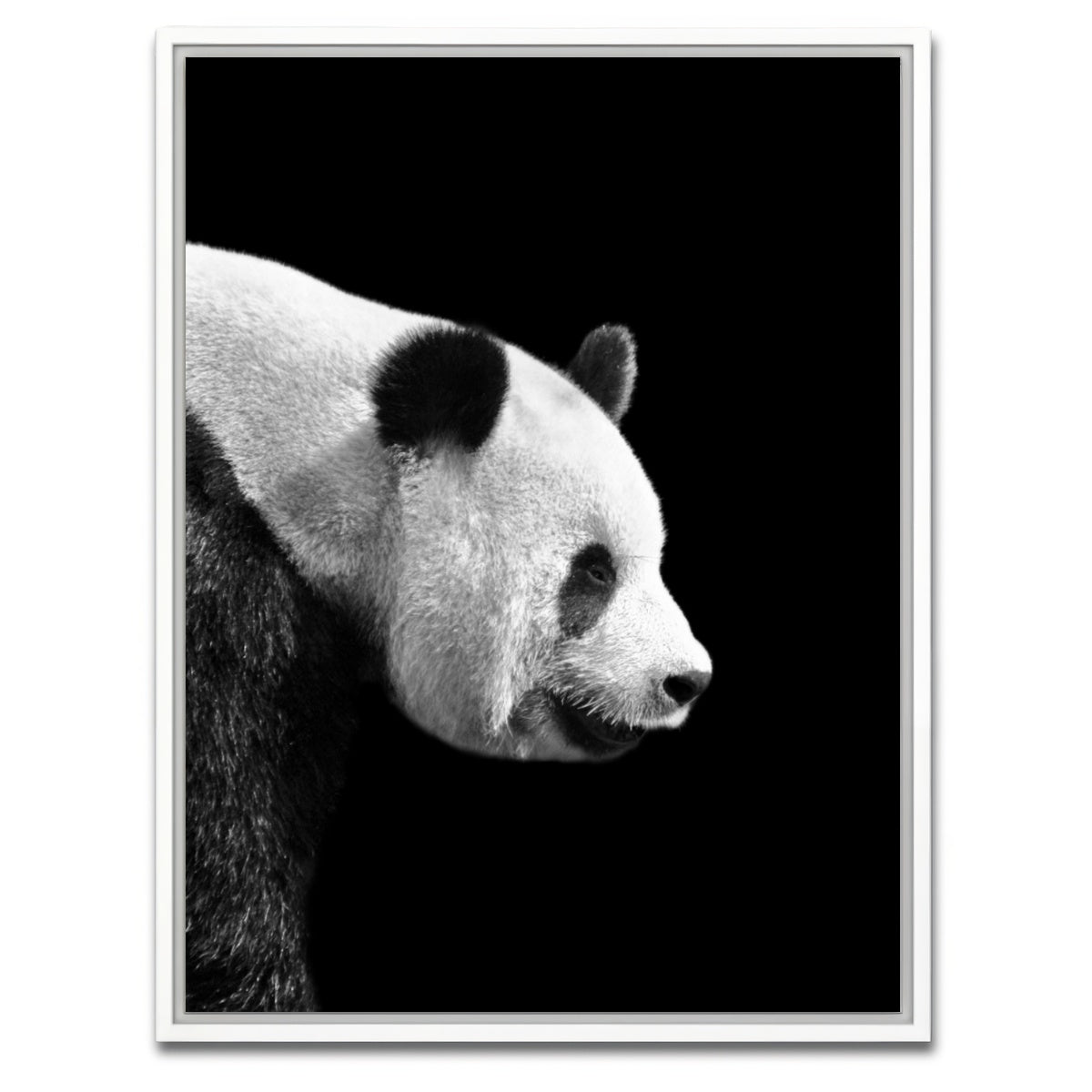 AUTO-MOCKUP WHITE | Panda | 1 Piece | White Framed Canvas | group=3x4